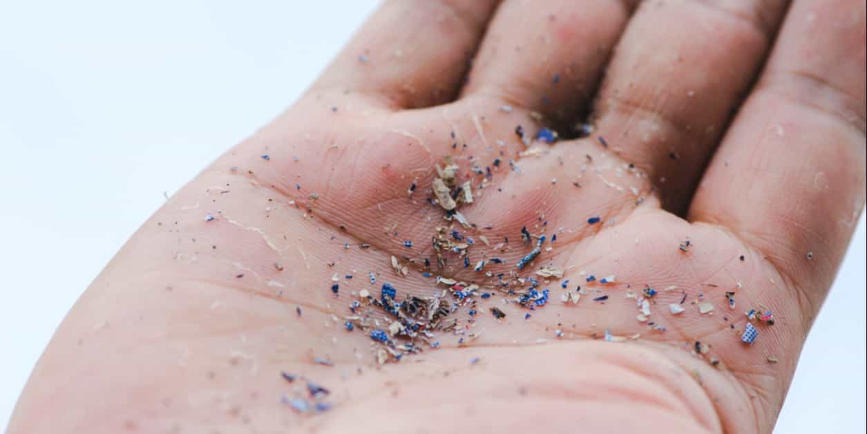 What is the best example of physical contamination?